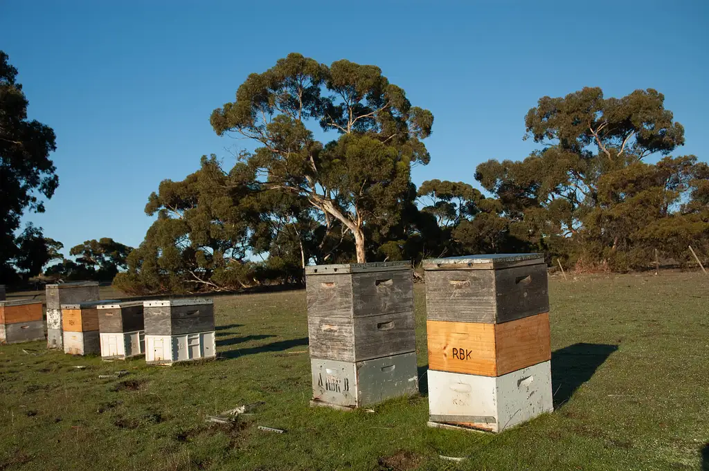 Kangaroo Island Luxury Food and Wine Tour