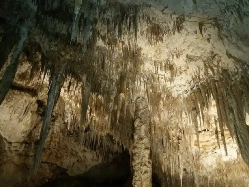 Margaret River Cave, Wine, Cape Leeuwin Lighthouse & Busselton Jetty Tour