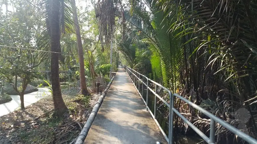Bike Along Bangkok’s Green Lung