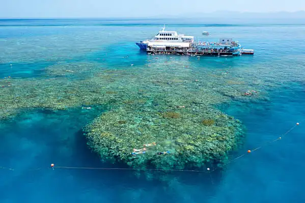 Moore Reef & Fitzroy Island in a Day