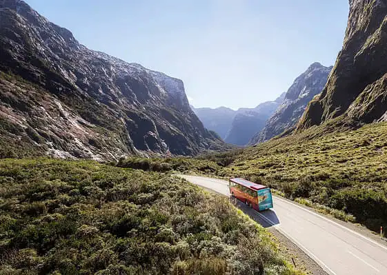 Coach, Cruise, Fly Milford Sound Day Tour from Queenstown