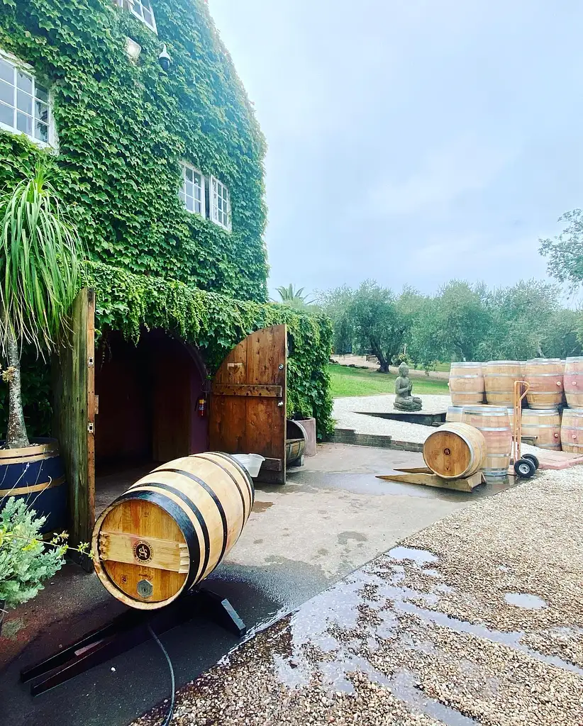 Waiheke EcoZip & Wine Tour