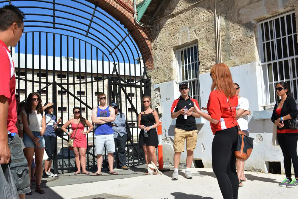 Fremantle Tour | Convicts, Culture & Street Art