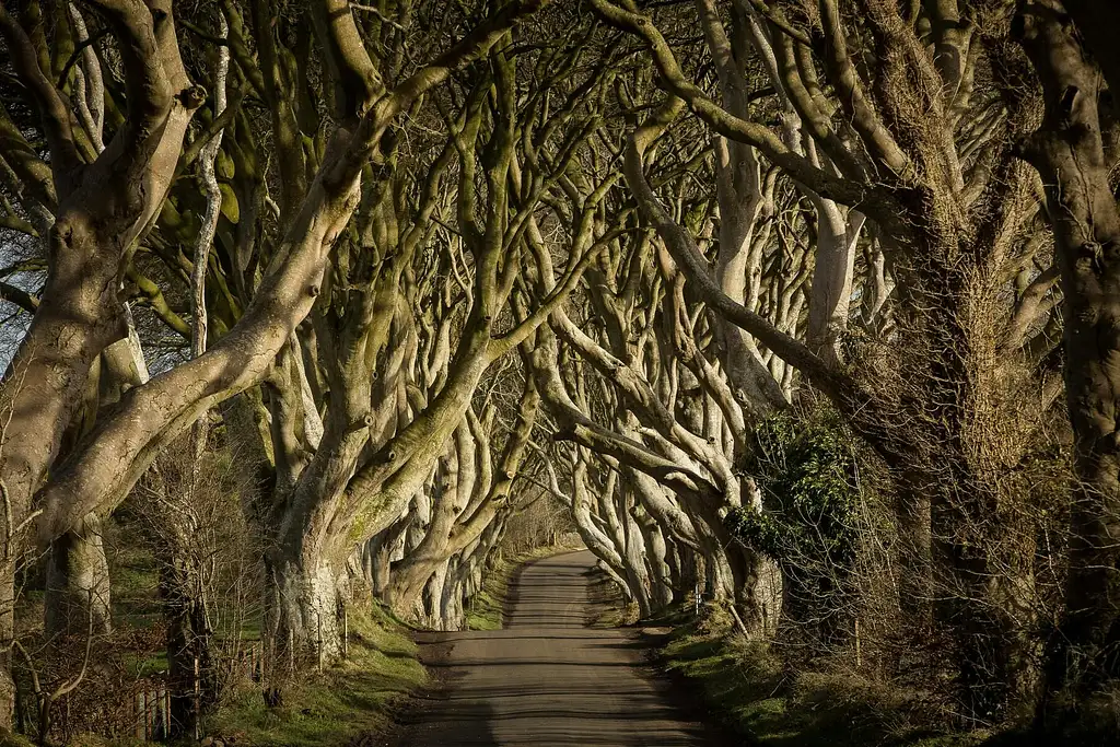 Giant's Causeway and Belfast Titanic Tour | From Dublin