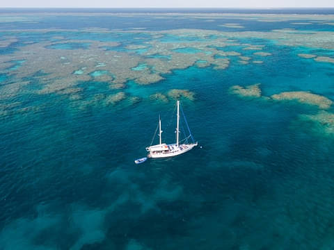 Whitsunday Outer Reef Trip