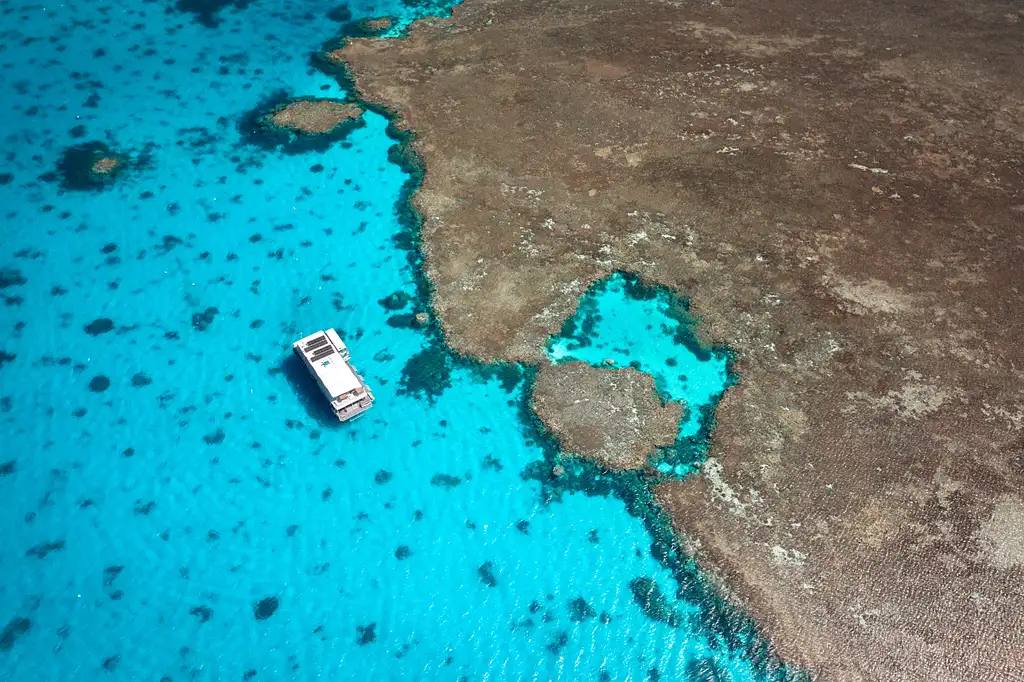 Lady Musgrave Experience Southern Great Barrier Reef Full Day Tour | From Bundaberg
