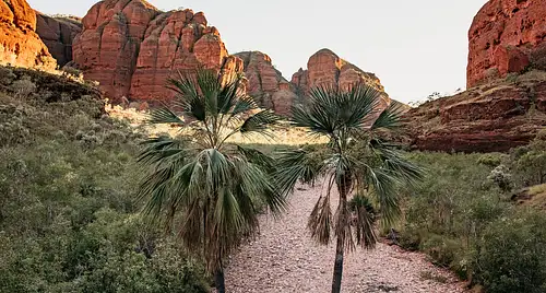 Bungle Bungles 4WD Adventure and Day Trek in Western Australia