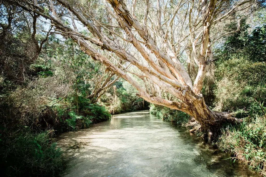 2 Day K'gari (Fraser Island) Tour from Rainbow Beach | Resort Accommodation