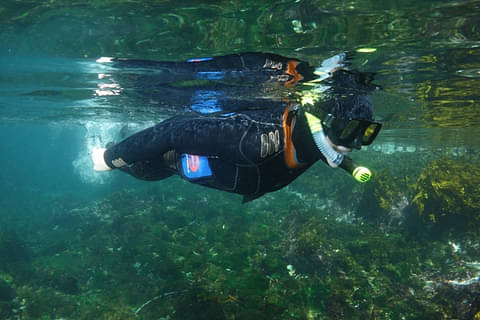 Discover Scuba Divin Day Trip