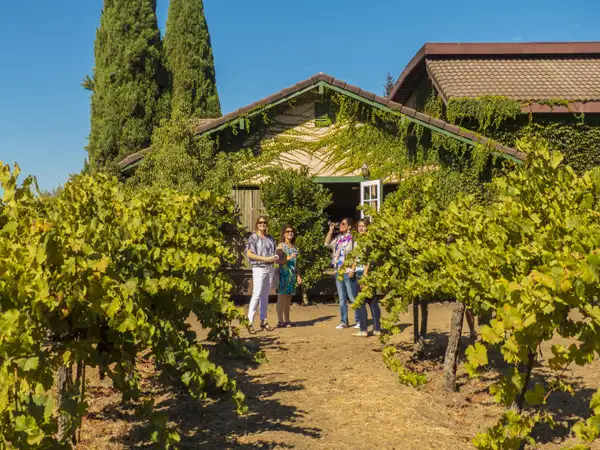 Full Day Wine Country Tour - Napa & Sonoma Valley