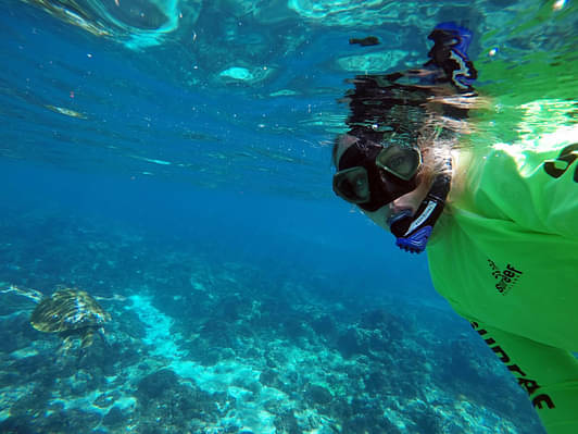 mudjimba island snorkelling trip