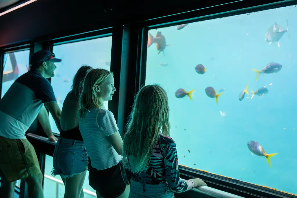 Cairns to Great Barrier Reef Cruise | Reef Magic Cruises