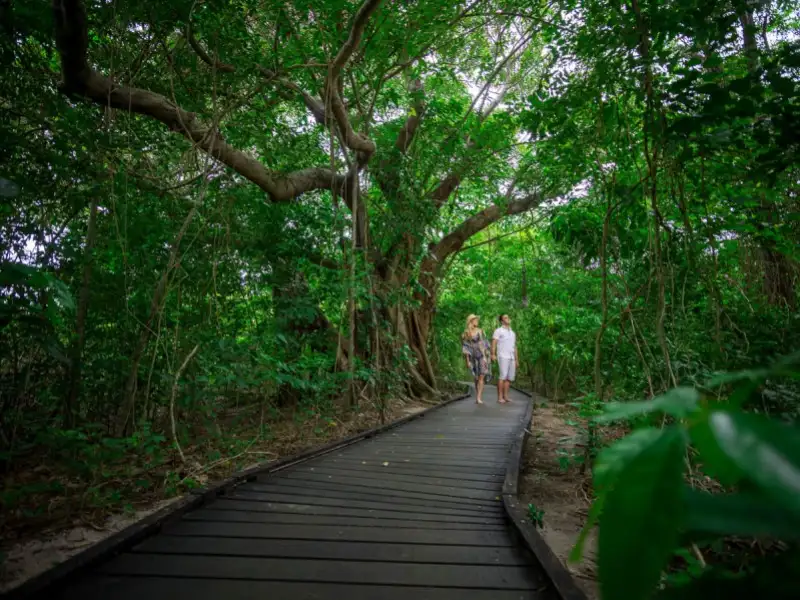 Green Island Eco Tour with Seawalker options