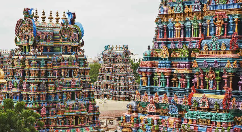South & North India Tour