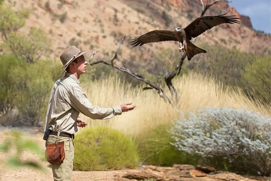 Alice Springs Desert Park Entry & Transfers