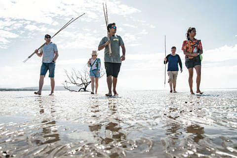 Daintree Walkabout