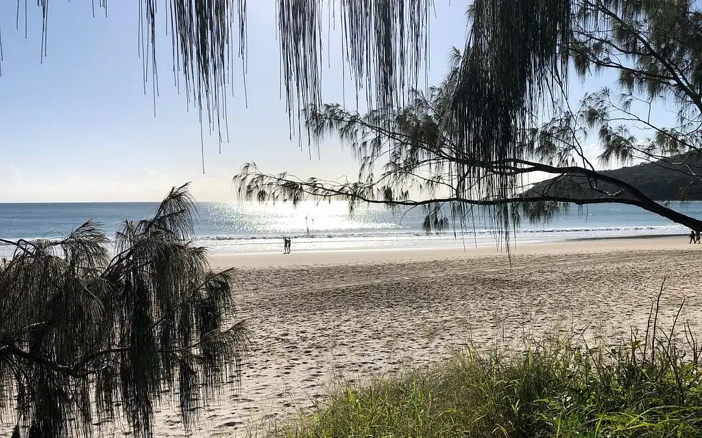 Noosa Everglades Cruise & Highlights with Lunch | Private Tour