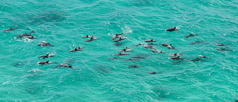 Byron Bay