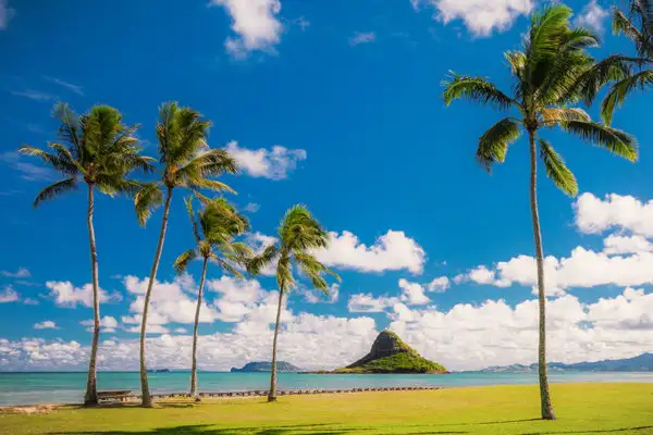 Majestic Circle Oahu Island Tour