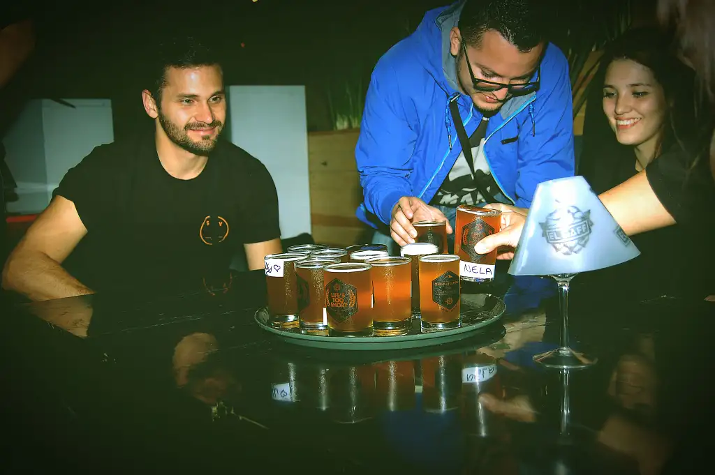Carpe Craft Beer Tour from San José