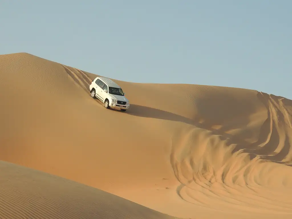 Evening Desert Safari with Dinner