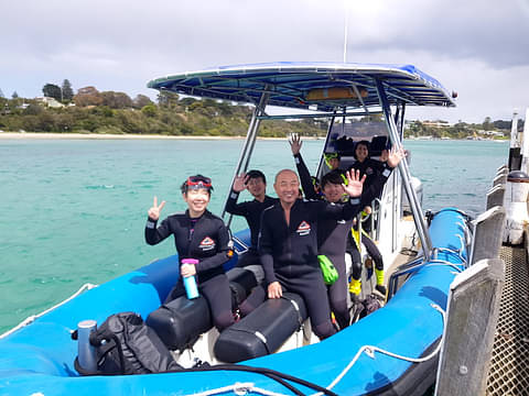 swimming with seals tours