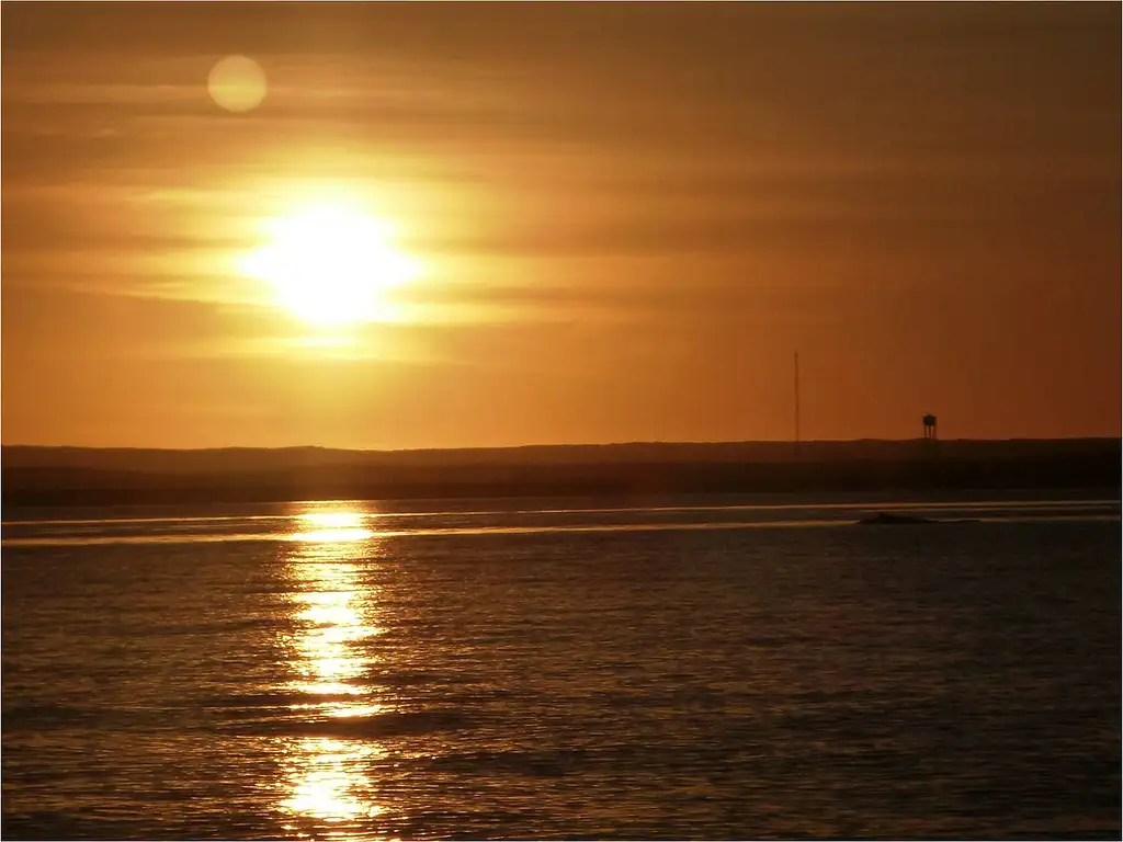 Whale Watch Sunset Cruise | Departing Exmouth