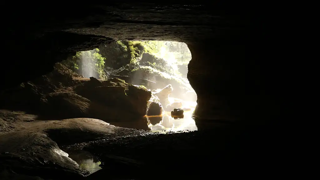 Glow Worm Cave Tour | West Coast