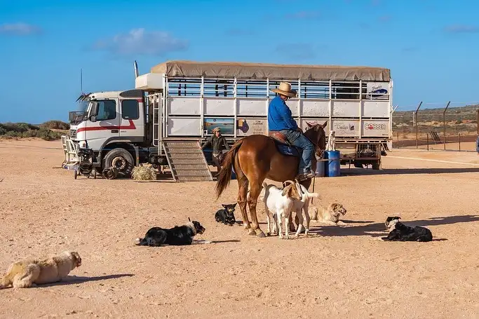 Katherine Outback Show