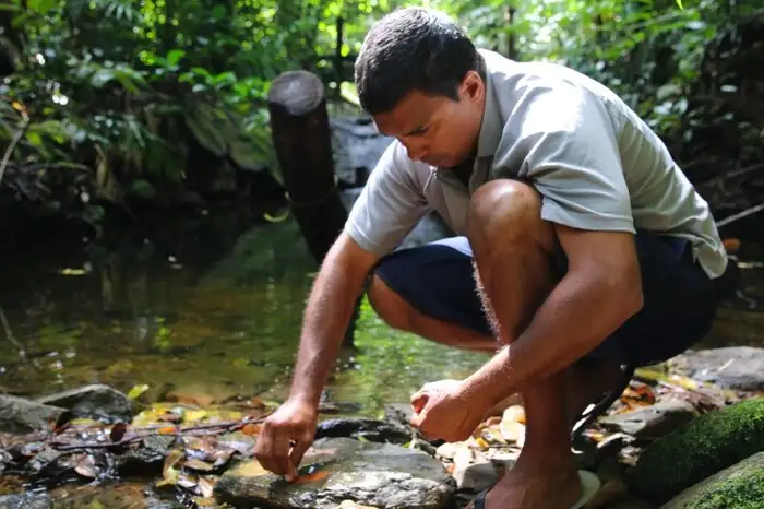Cape Tribulation Tour (Ngana Kulkinga Dungay)- Full or Half Day Option