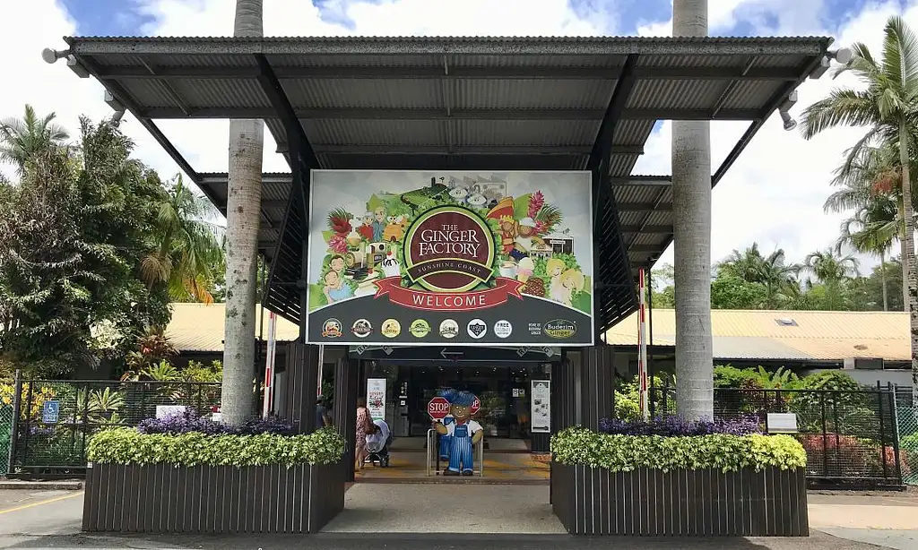 Ginger Factory Transfer | From Sunshine Coast