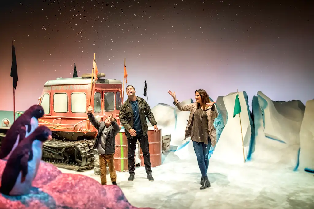International Antarctic Centre Admission
