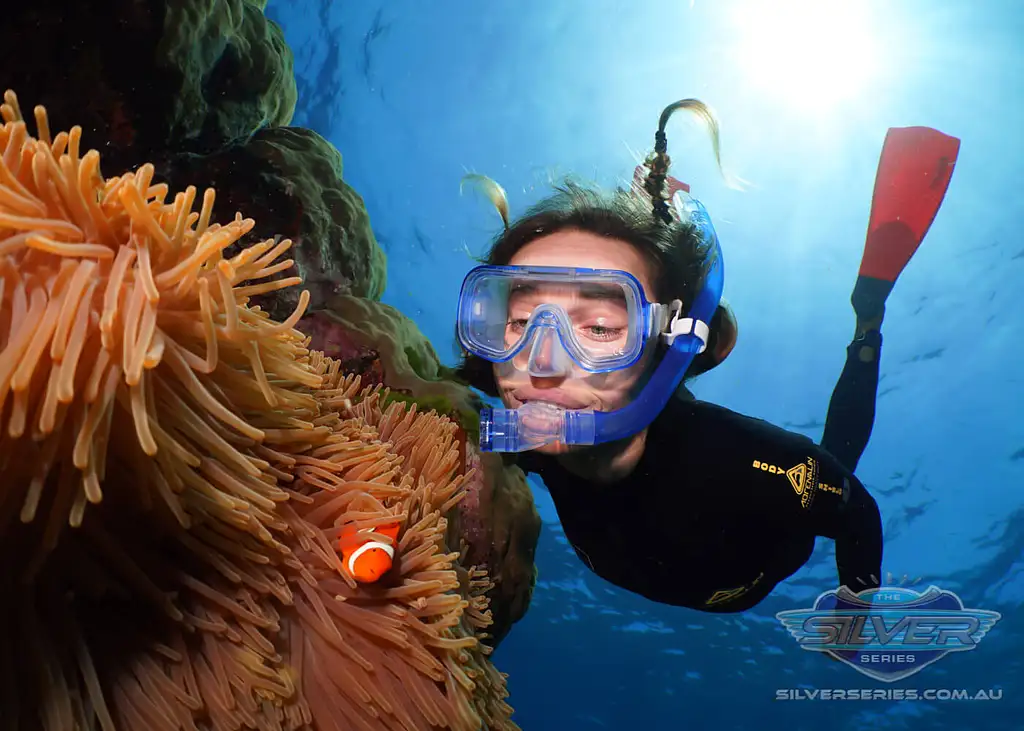 Silversonic Great Barrier Reef Snorkel Adventures from Port Douglas