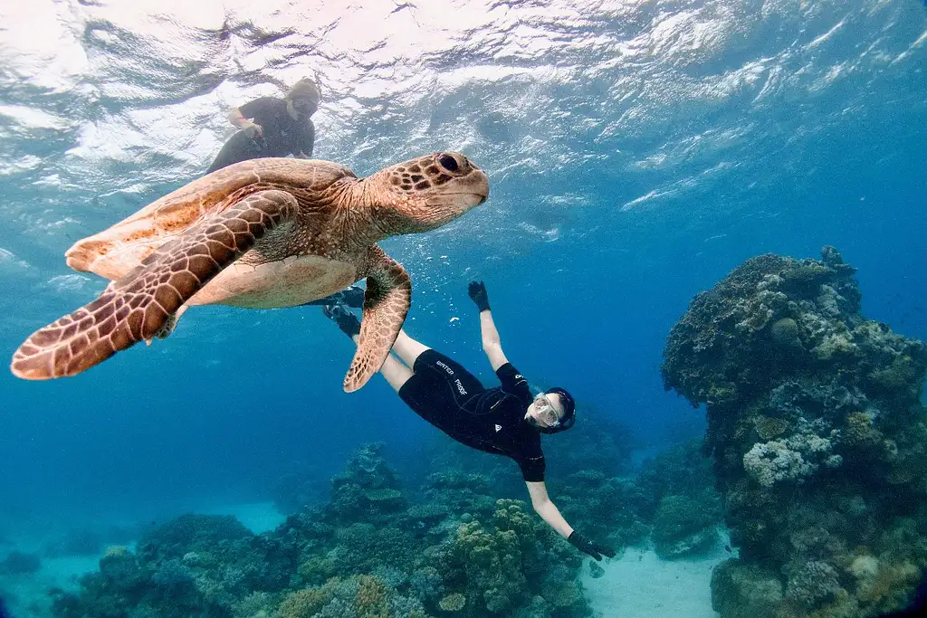 Half Day Snorkelling Great Barrier Reef From Cairns | Escape the Crowds!