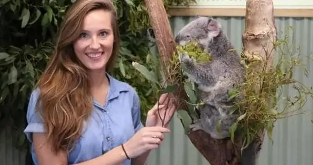 Blue Mountains Wildlife Park & Colourful Day Trip from Sydney