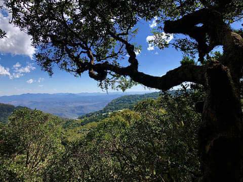 Lamington National Park Walk Deals
