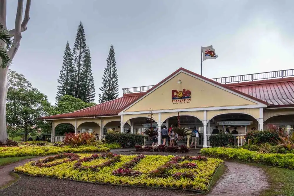 North Shore & Dole Pineapple Tour