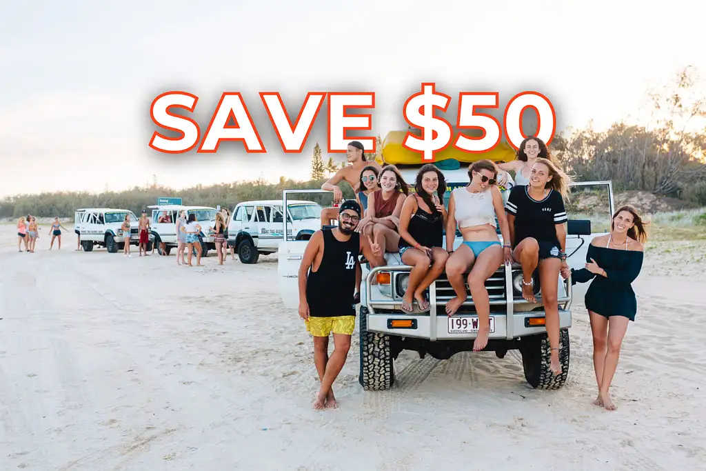 Dingos 3 Day K'gari (Fraser Island) 4WD Tag-Along Adventure