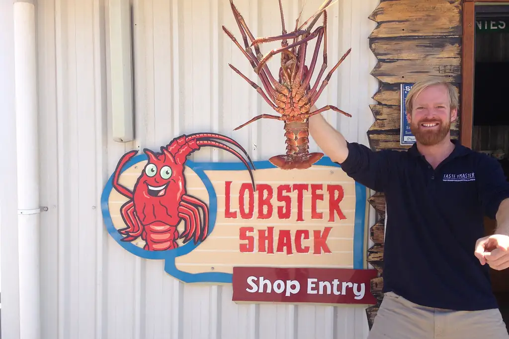 Pinnacles, Lavender Farm & Lobster Shack Tour | Perth