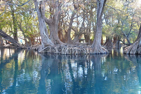 8 Day Tour - Mexico: Tales of Michoacan
