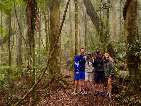 Lamington National Park Tour