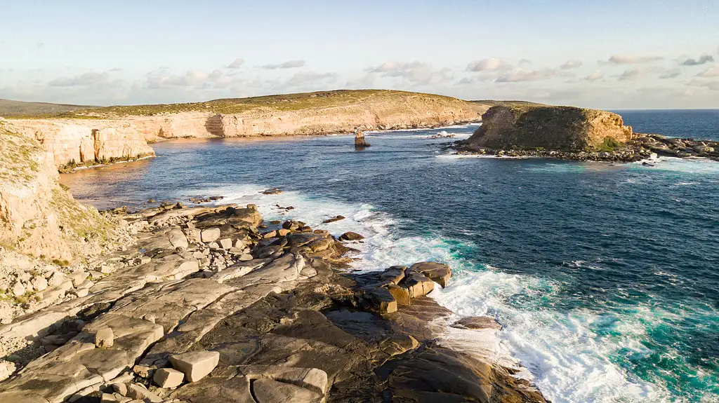 Port Lincoln Day Tour
