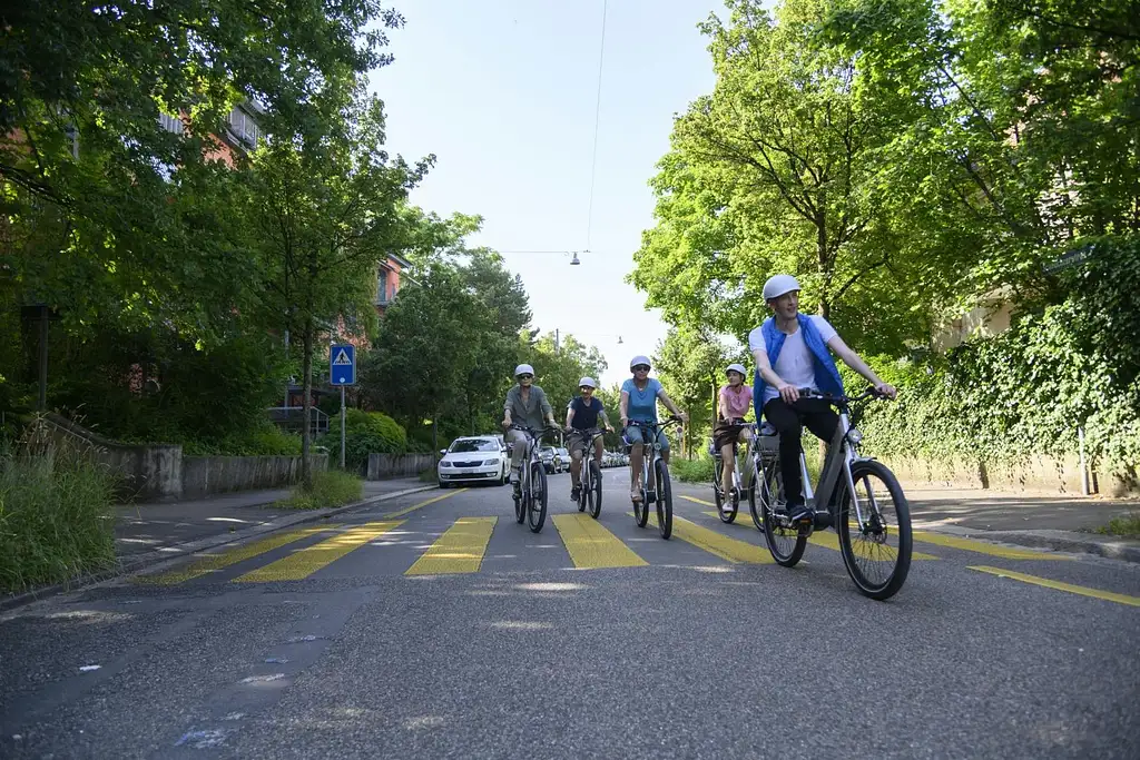 Guided E-Bike Tour in Zurich