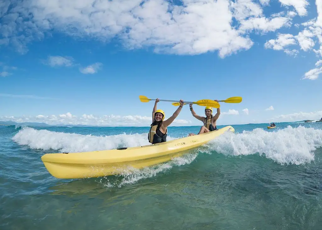 Dolphin Watching and Kayaking Experience from Byron Bay