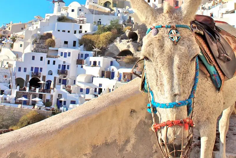 8 Day Adventure: Athens to Santorini