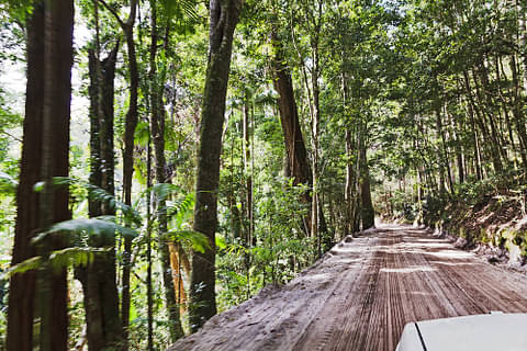 Fraser Island 4WD Tour Deals