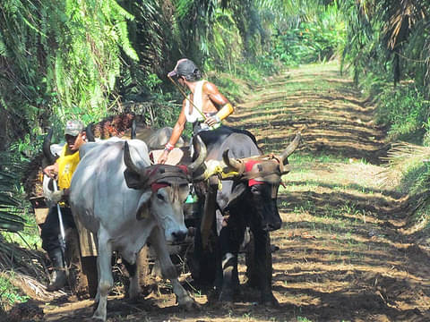 tour-quepos-costa-rica
