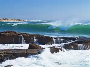Premium Full Day Wine Tour - Margaret River