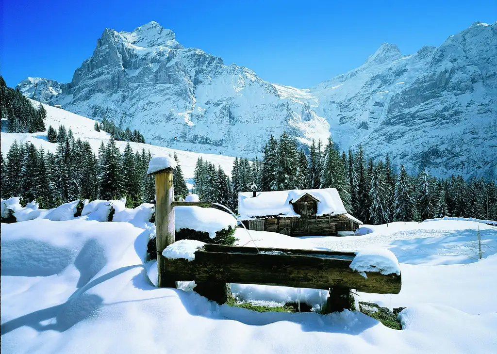 Swiss Ski Experience from Zurich