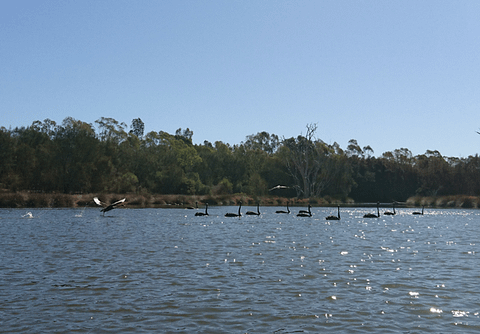 Perth kayak tours